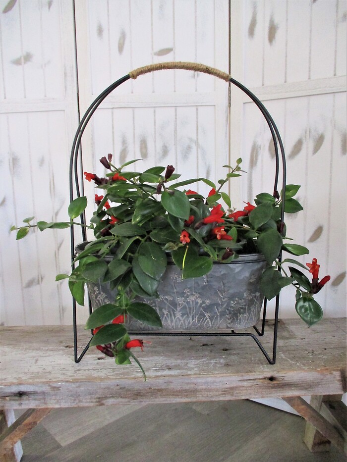 Lipstick Planter