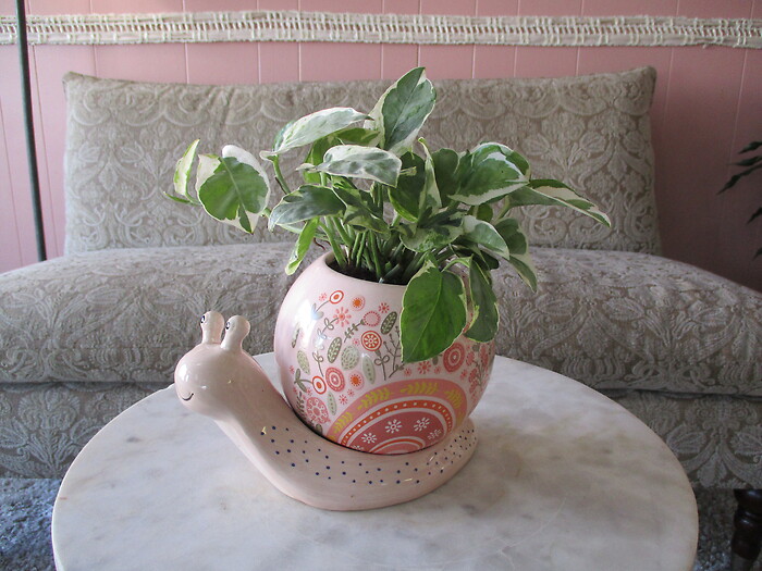 Sweetheart Snail Planter