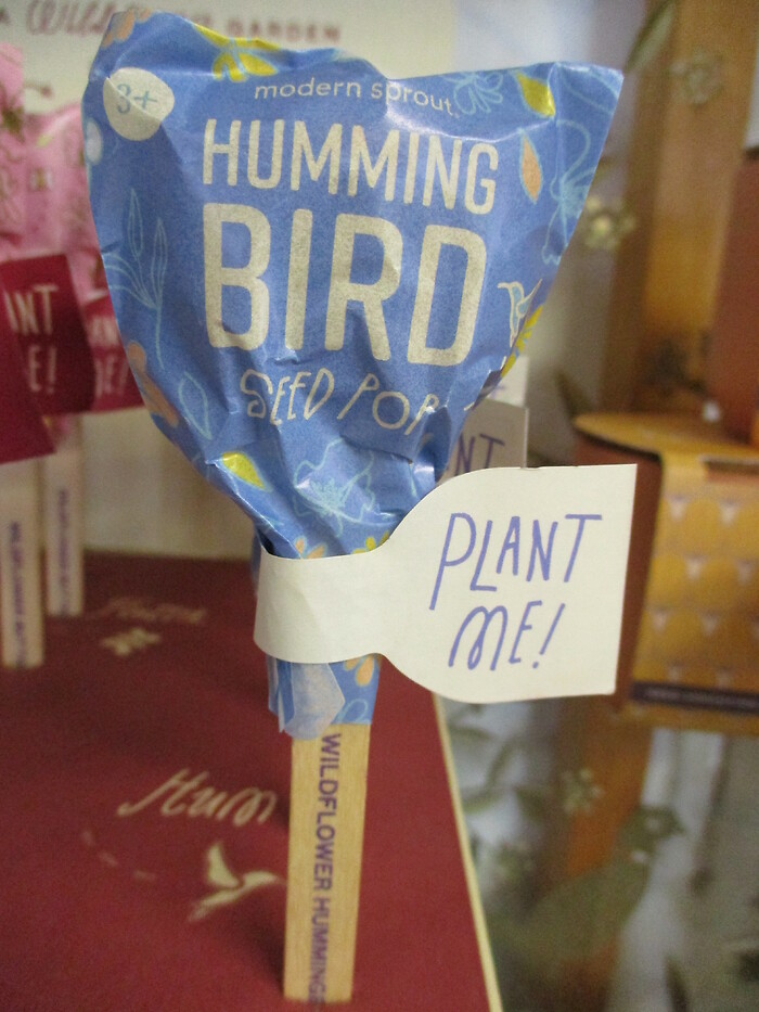 Pollinator Garden Pops (Humming Bird)