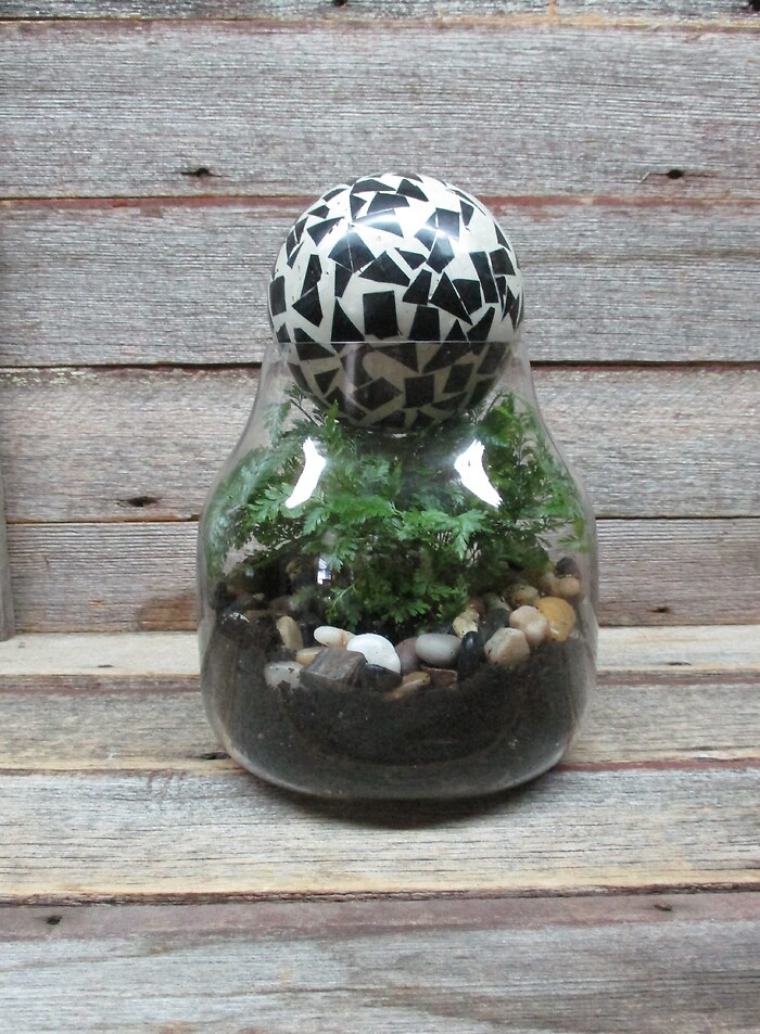 Tribal Terrarium