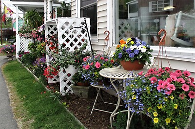 Outdoor Blooming Hanger