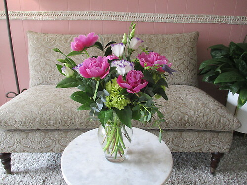 Peony Perfection