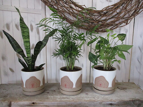 Forage Planter