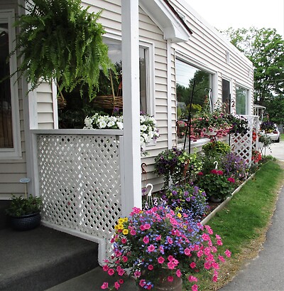 Outdoor Blooming Hanger