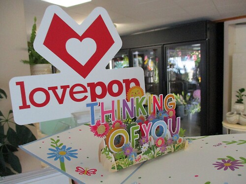Lovepop Greeting Card (Thinking of You)