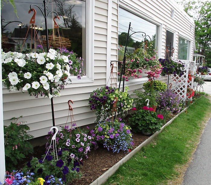 Outdoor Blooming Hanger