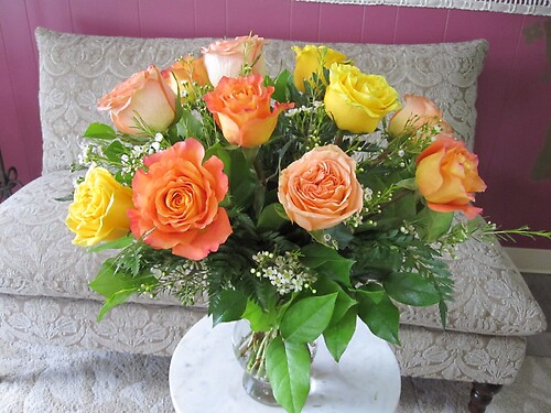 Colorful Dozen