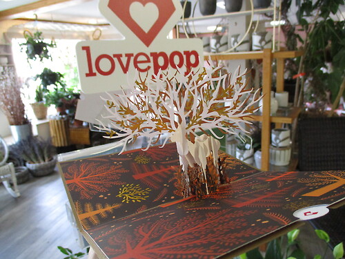Lovepop Greeting Card (Autumn Deer)