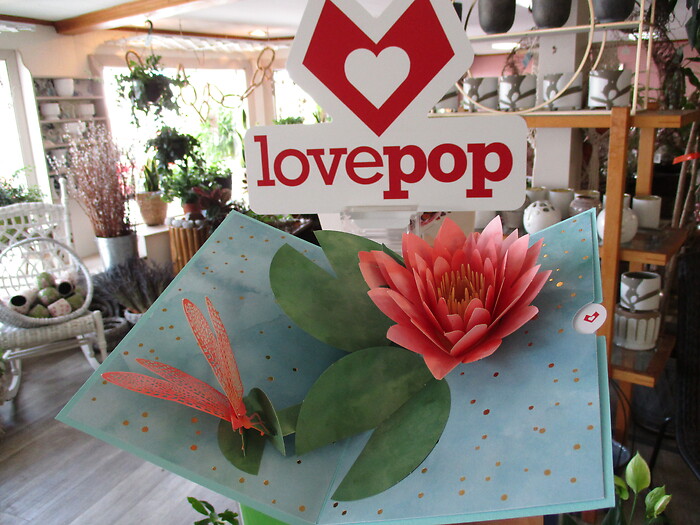 Lovepop Greeting Card (Water Lily Dragonfly)