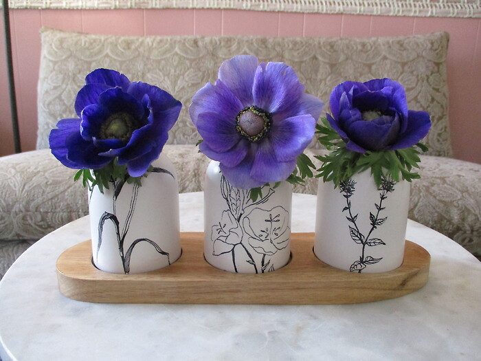 Amazing Anemones