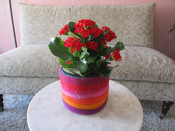 Kalanchoe Planter
