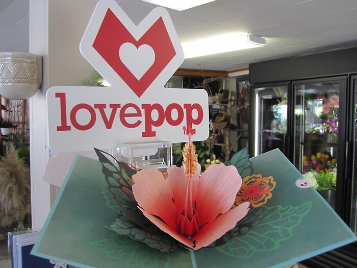 Lovepop Greeting Card (Hibiscus Bloom)