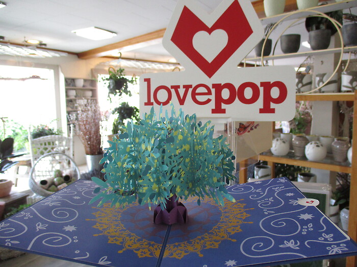 Lovepop Greeting Card (Olive Tree)