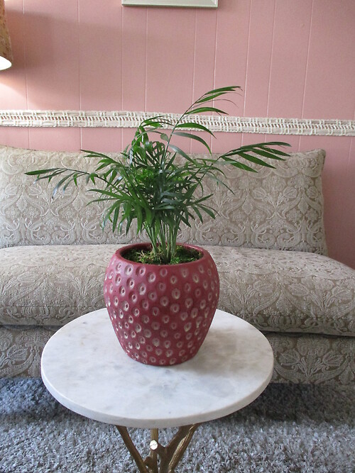 Strawberry Planter