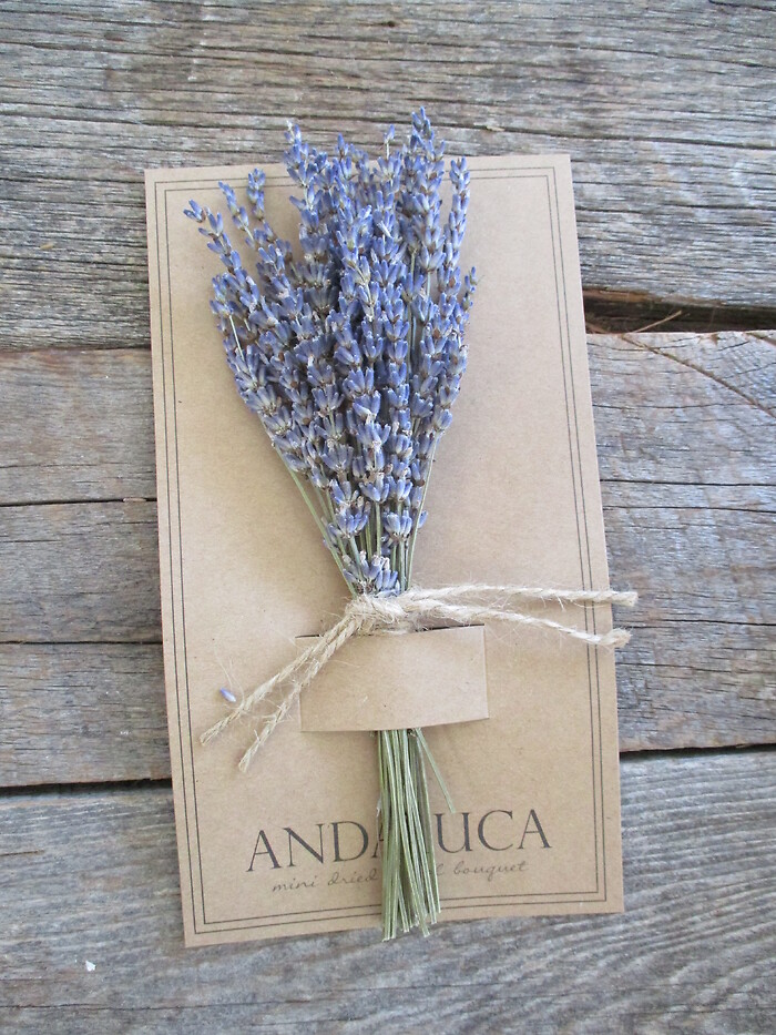 Lavender Mini Bouquet