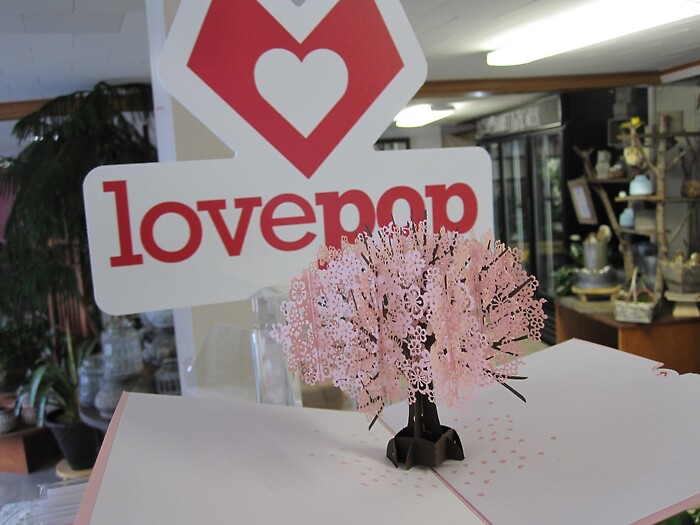 Lovepop Greeting Card (Cherry Blossom)