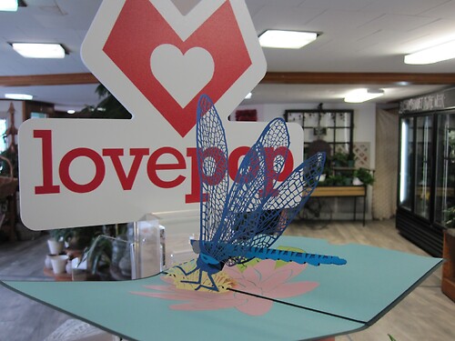 Lovepop Greeting Card (Dragonfly)