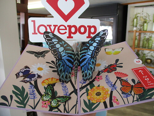 Lovepop Greeting Card (Garden Butterflies)