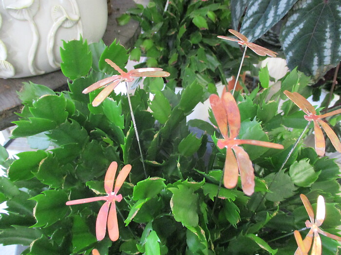 Dragon Fly Pick (small)