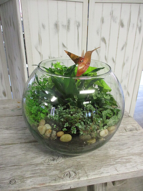 Humming Bird Garden
