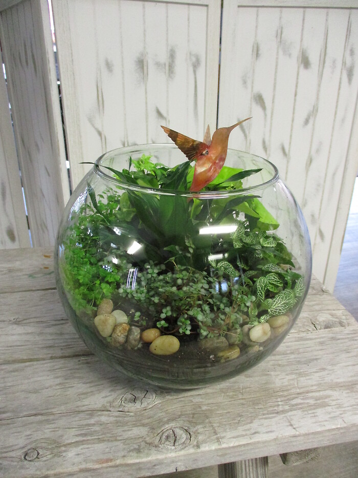 Humming Bird Garden
