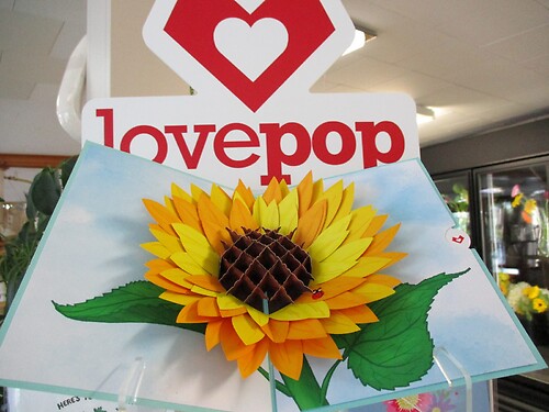 Lovepop Greeting Card (Sunflower Bloom)