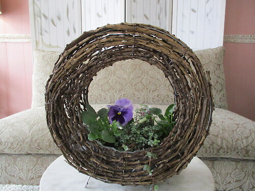 Willow Ring Of Spring (Pansy)
