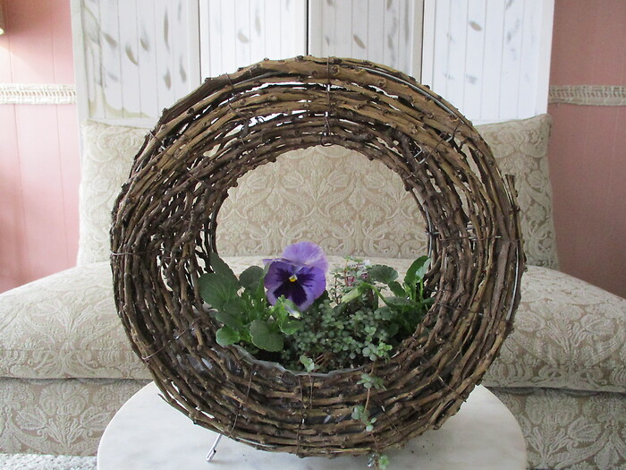 Willow Ring Of Spring (Pansy)
