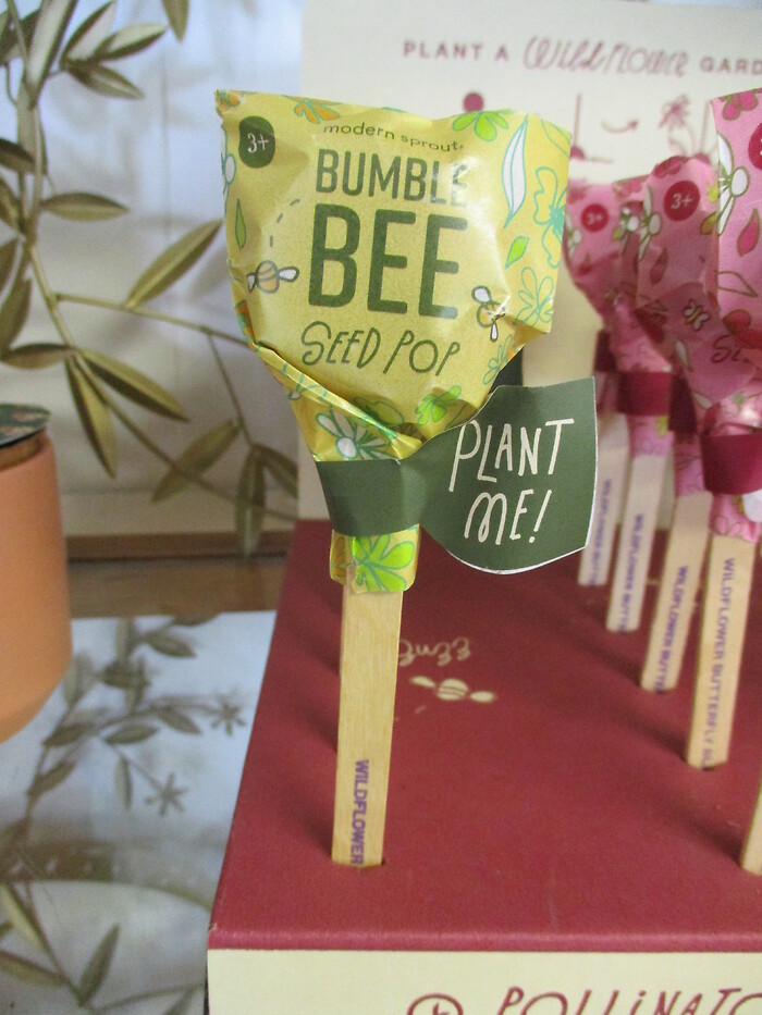 Pollinator Garden Pop (Bumble Bee)
