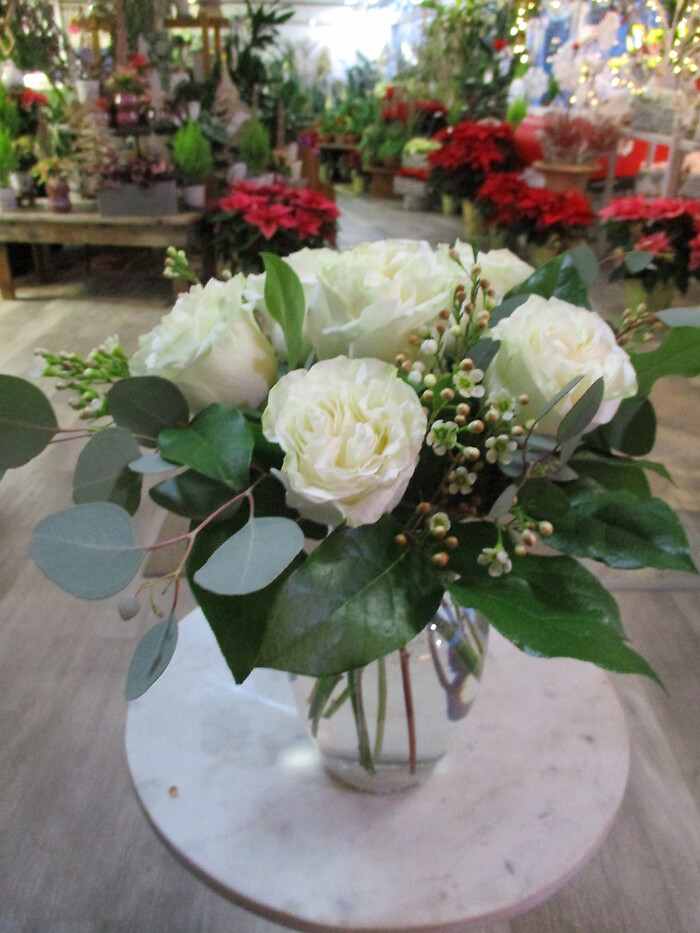 Half-Dozen White Roses