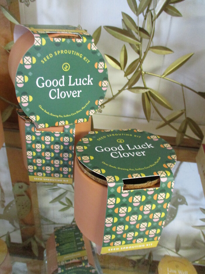 Seed Sprouting Kit (Clover)