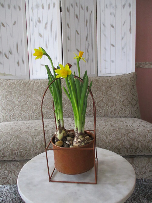 Garden Relic Planter