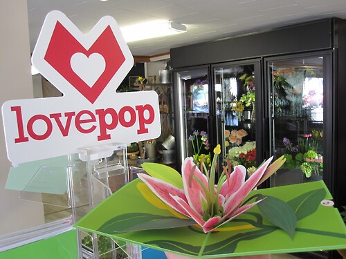 Lovepop Greeting Card (Lily Bloom)