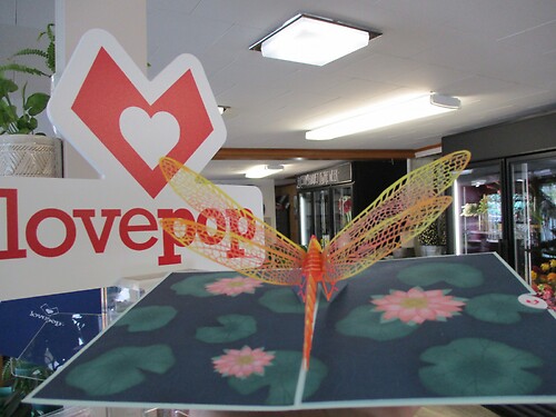 Lovepop Greeting Card (Dragonfly on Water Lily)