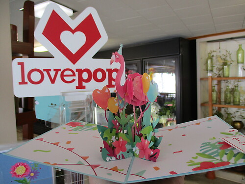 Lovepop Greeting Card (Flamazing Birthday Flamingo)